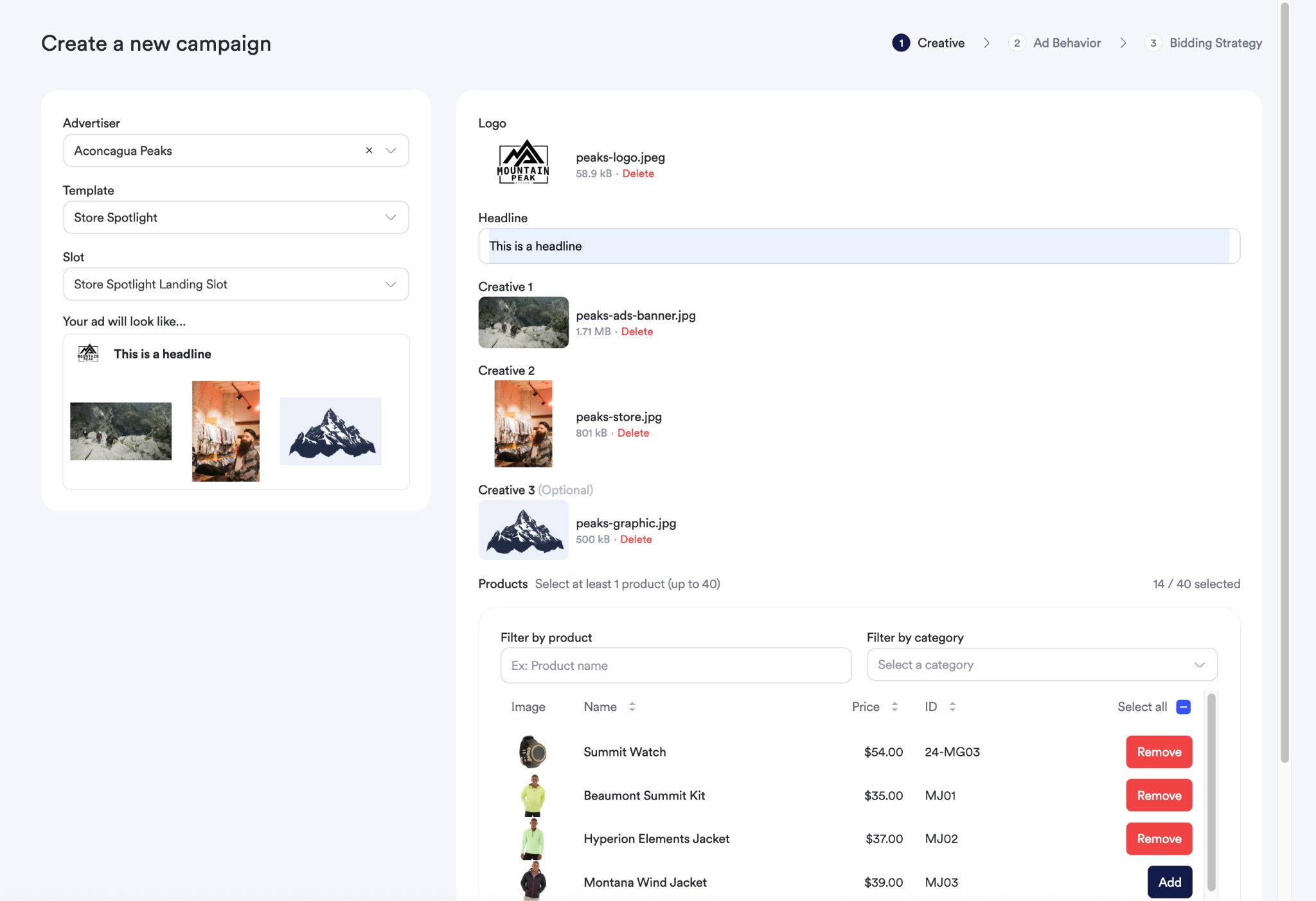 Screenshot of creative setup step
