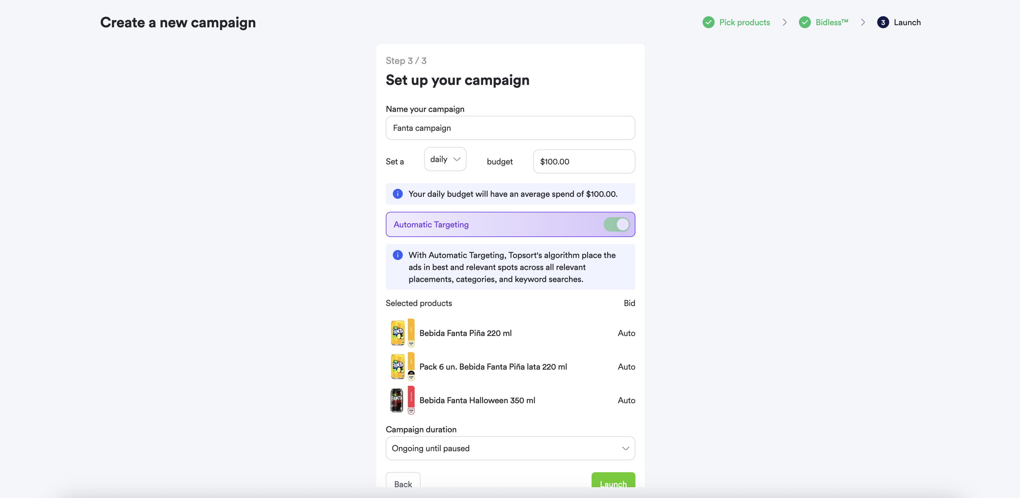 Step 3: Configuring campaign name, budget, and schedule.